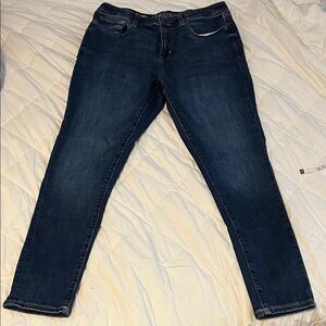 Arizona Jean Company Medium Blue Skinny Jeans